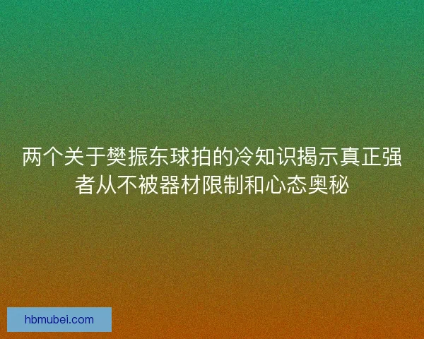 两个关于樊振东球拍的冷知识揭示真正强者从不被器材限制和心态奥秘
