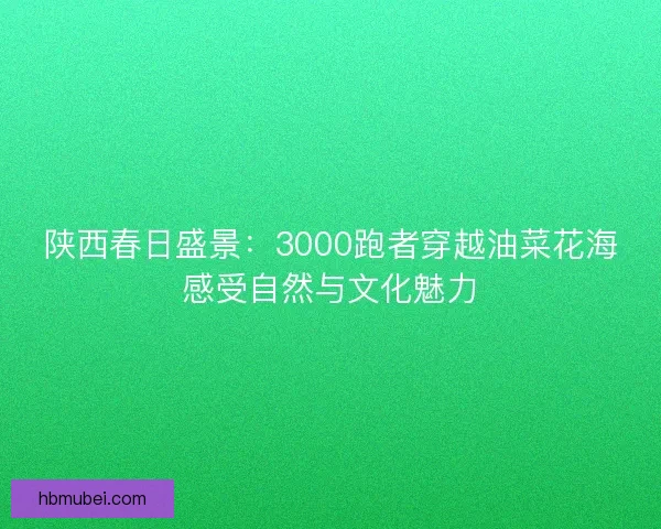 陕西春日盛景:3000跑者穿越油菜花海感受自然与文化魅力 陕西春日盛景:3000跑者穿越油菜花海感受自然与文化魅力
